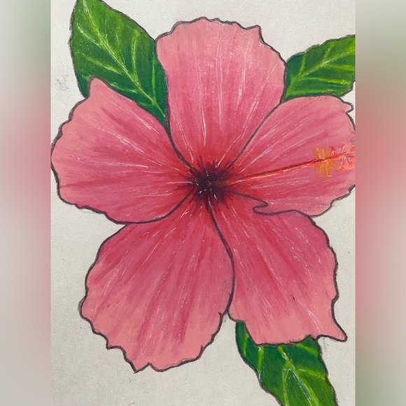 Hand Crafted Other - Pink Hibiscus Flower Art Illustration